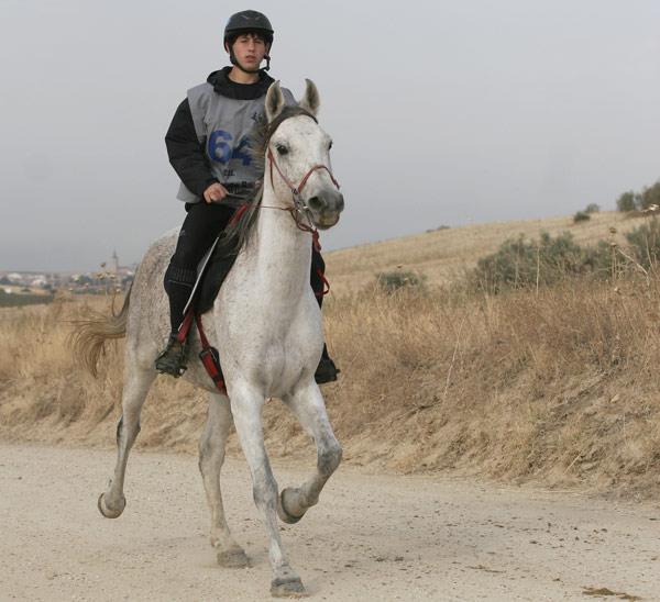 Mejor Condición Ctº España Júnior 2013 para "CAMERUPT".
