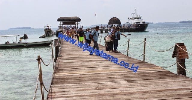 Snorkeling Pulau Seribu: Snorkeling Pulau Pantara