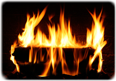 Yule log visualization Durham Council of Garden Clubs: December 2011