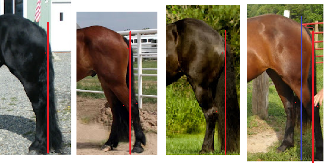 North Horse 06/26/12