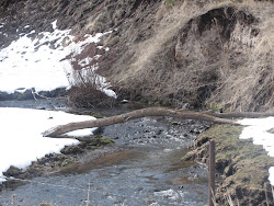 The beauty, magic, and mystic scents Cripple Creek