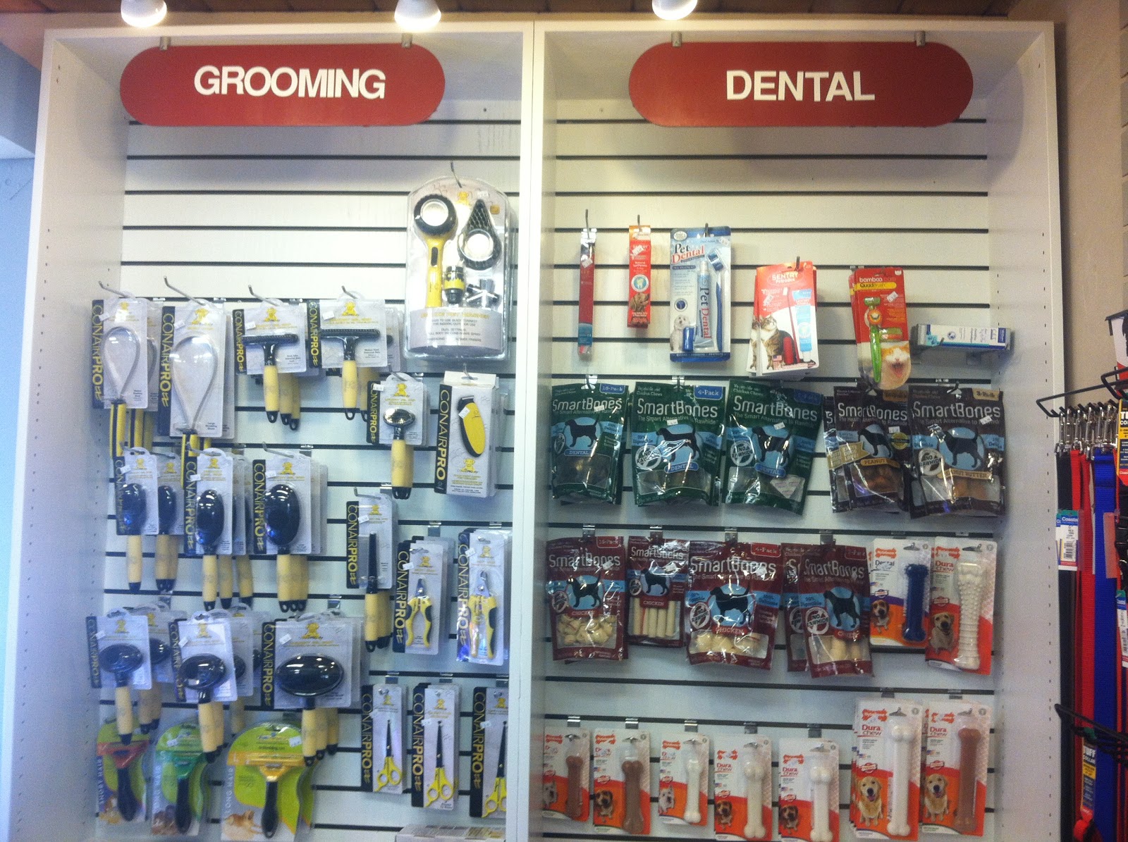 A Girl's Best Friend Village Pet Supplies