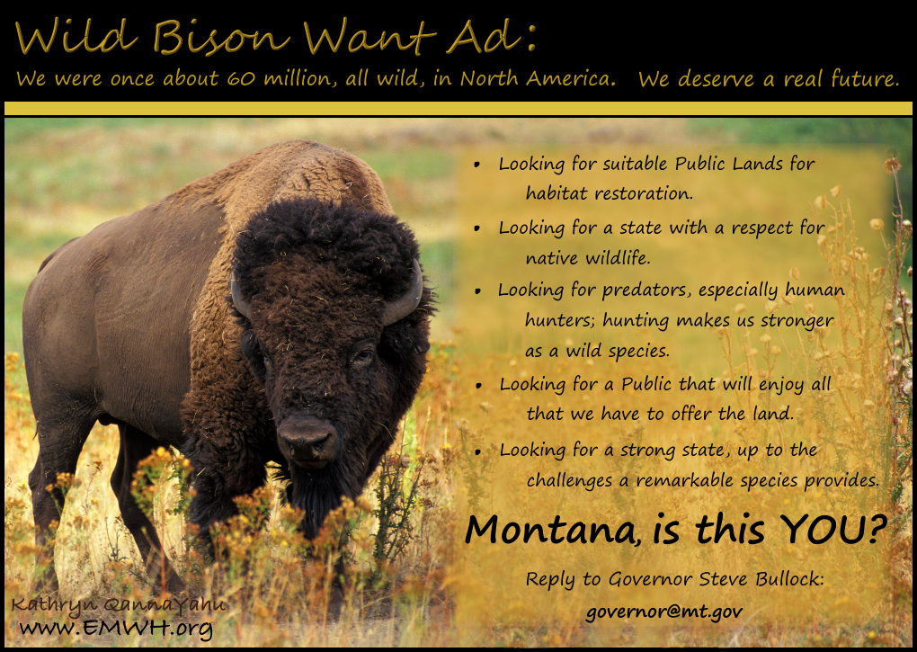 http://www.emwh.org/postcards/bison%20want%20ad.png