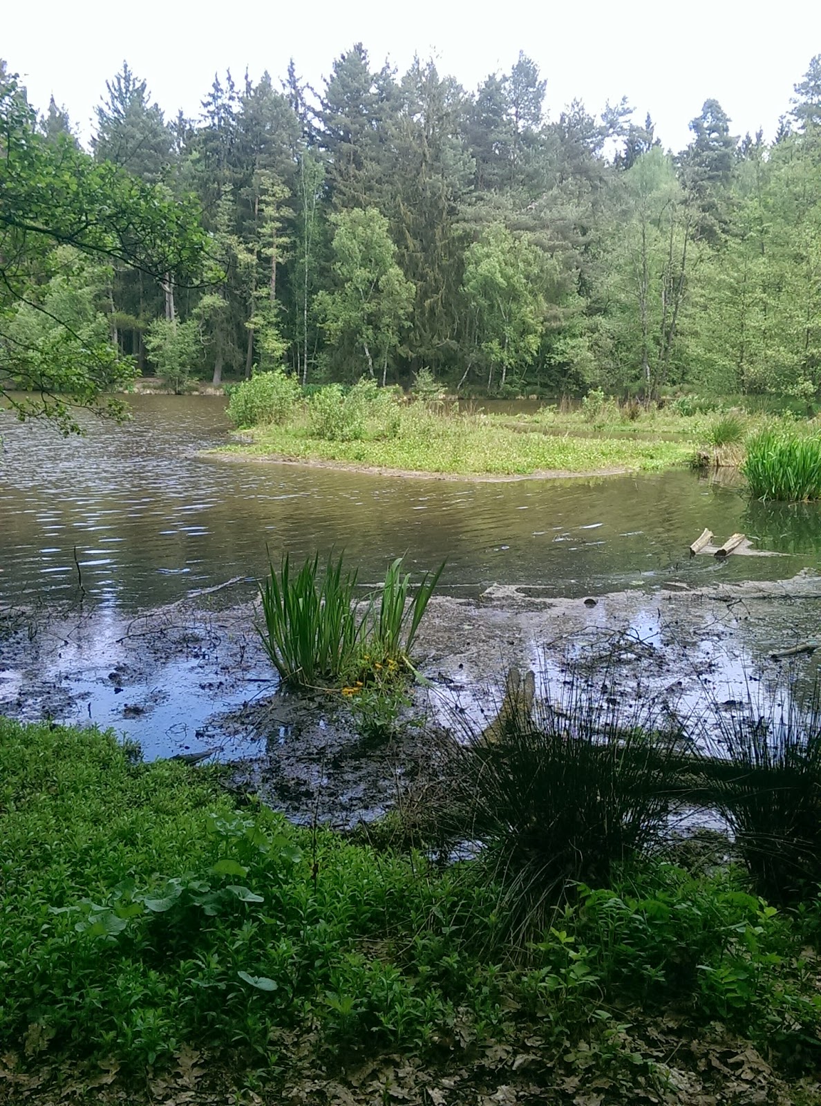 Modulgeruste Im Einsatz Bei Schafer Gerustbau