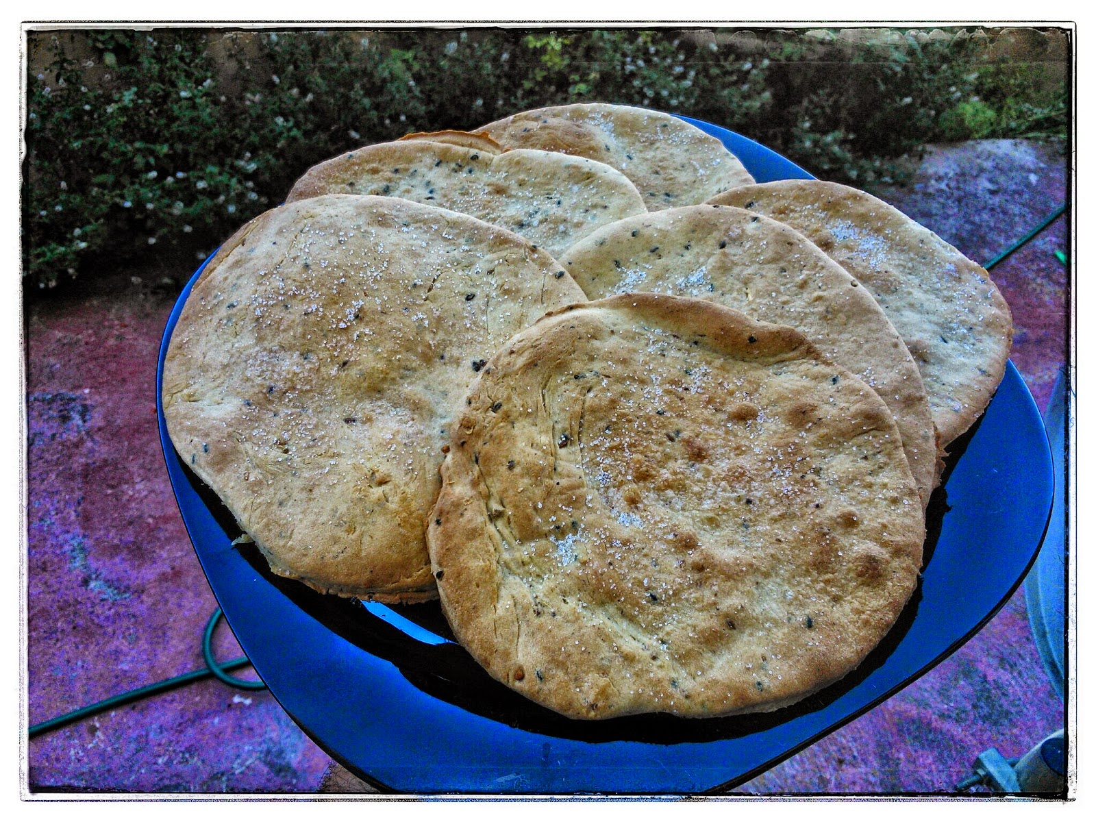 Tortas De Aceite