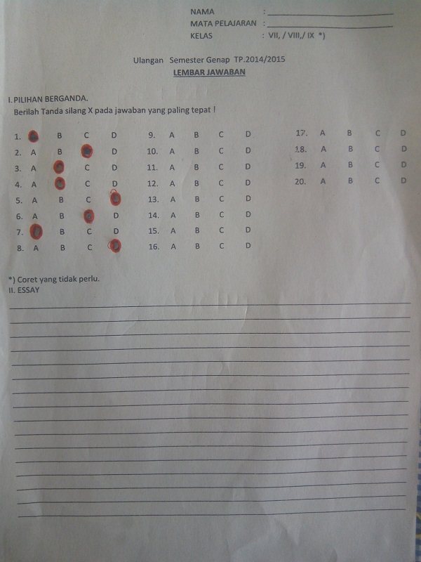 Format 5 Paragraph Expository Essay Rubric