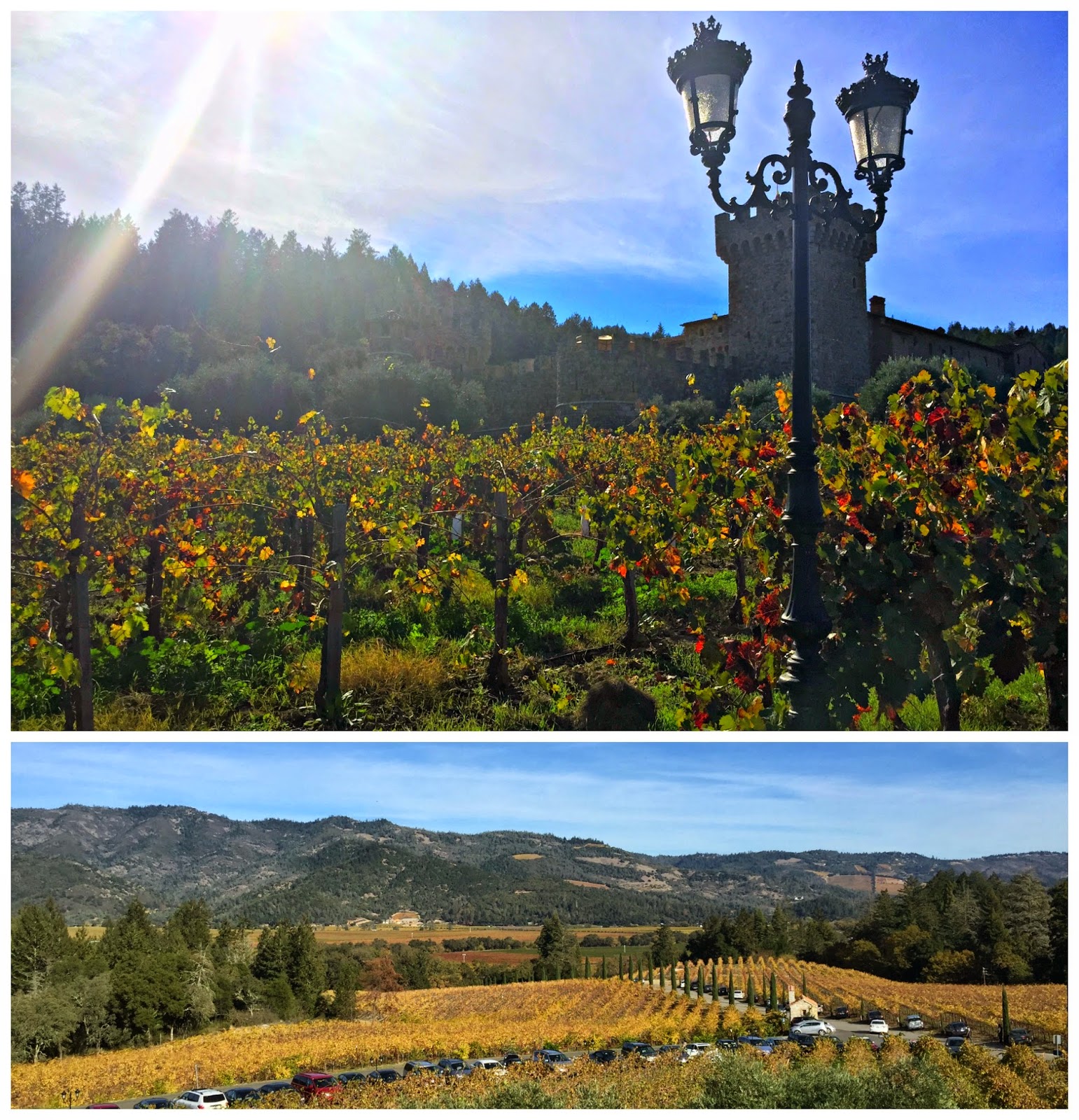 Seven Graces: 10 Things You Must Do in Napa Valley