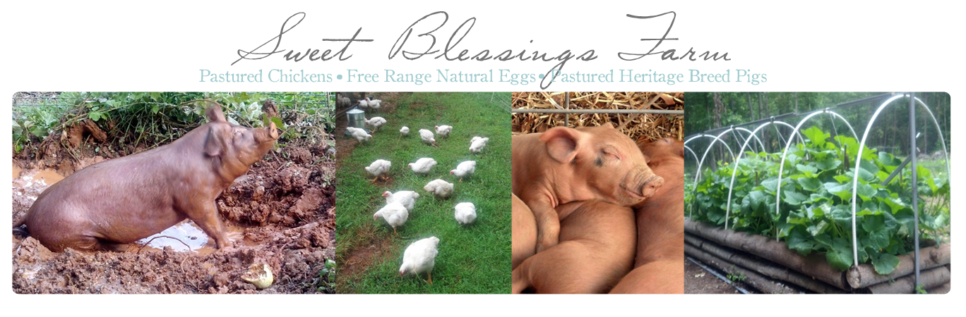 Sweet Blessings Farm {Blog}