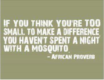 If+you+think+you're+too+small+to+make+a+difference,+you+haven't+spent+a+night+with+a+mosquito.jpg