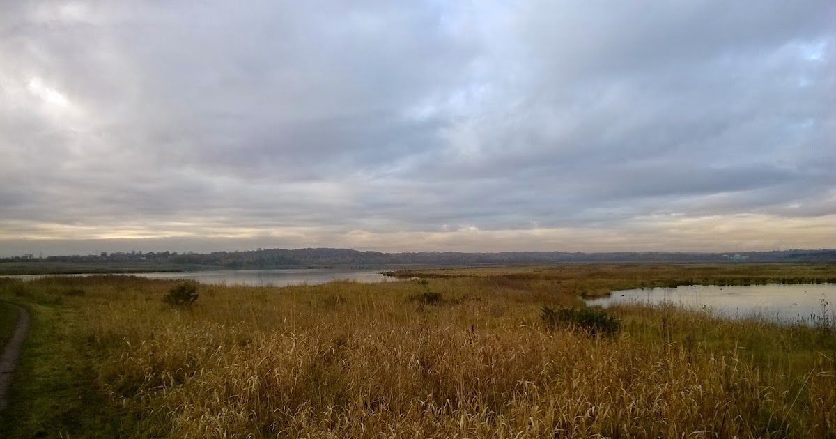 Close Encounters of the Bird Kind Exploring Swillington Ings/St. Aidans