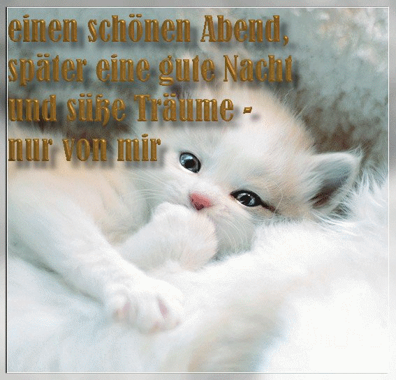 Get Lustige Gif Gute Nacht Bilder Kostenlos Pictures