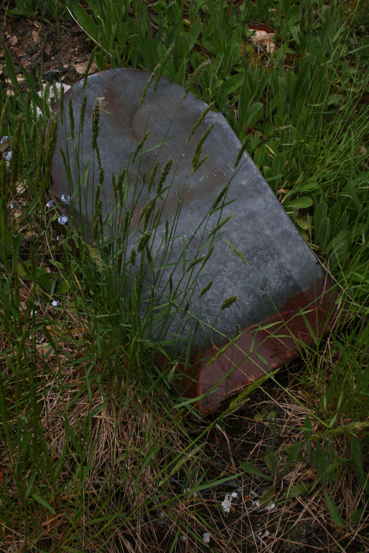 ICH Blog Graveyard Mystery photos of unusual tin grave markers from