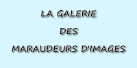 Galeries des Maraudeurs.