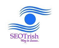 SEO India | SEO Consultancy India | Search Engine Optimization
