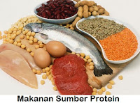 Makanan yang Mengandung Sumber Protein Tinggi
