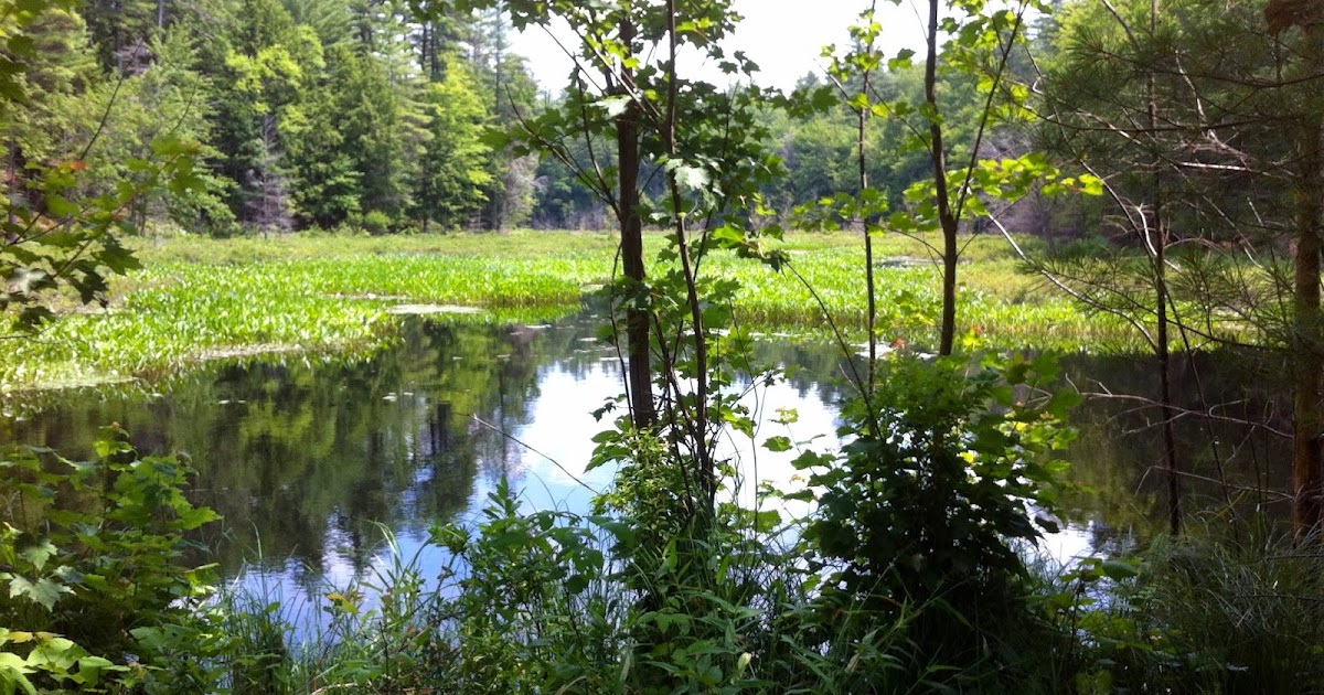 DeCampStudio Chase Lake