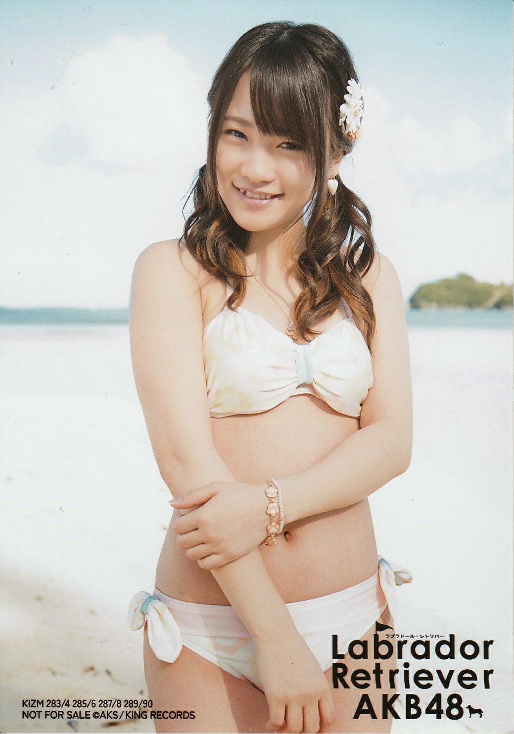 Photopack Kawaei Rina [Labrador Retriever] Dorahana Blog