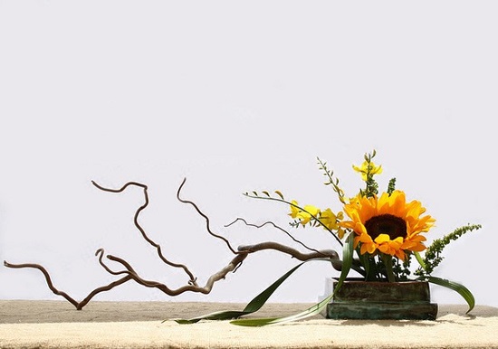 [Image: binh-hoa-huong-duong-4.jpg]