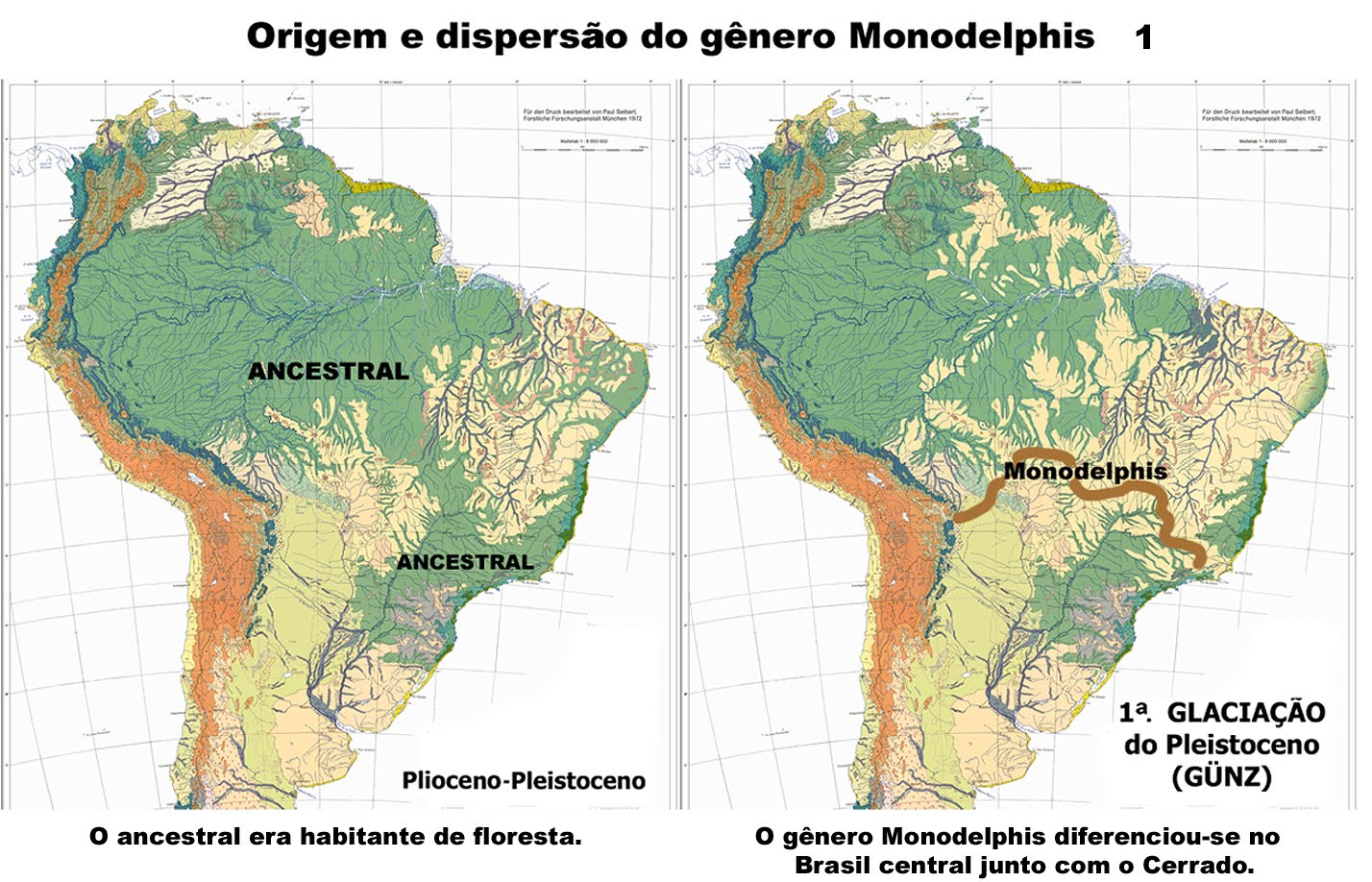 Origem e dispersão do gênero Monodelphis 1