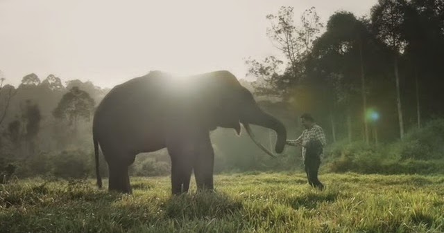 Lirik Lagu Lirik Lagu Tulus Gajah