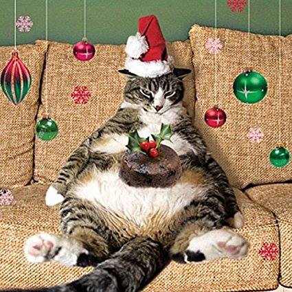 A Christmas Fat Cat