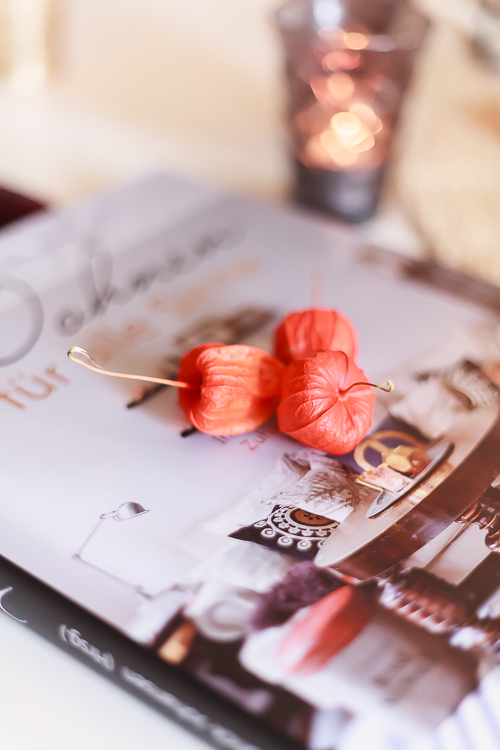 Amalie loves Denmark Wohnen für alle Sinne Franciska Munck Johansen Amalie loves Denmark Wohnen für alle Sinne Franciska Munck Johansen