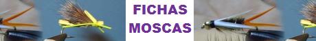 FICHAS MONTAJE MOSCAS