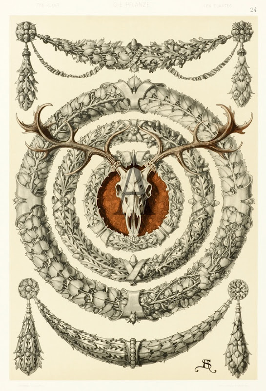 The Caledonian Mining Expedition Company Anton Seder