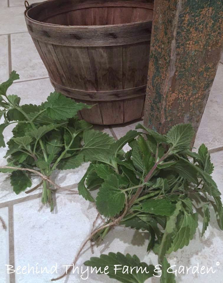 Beehind Thyme Farm & Garden Preserving The BOUNTY...