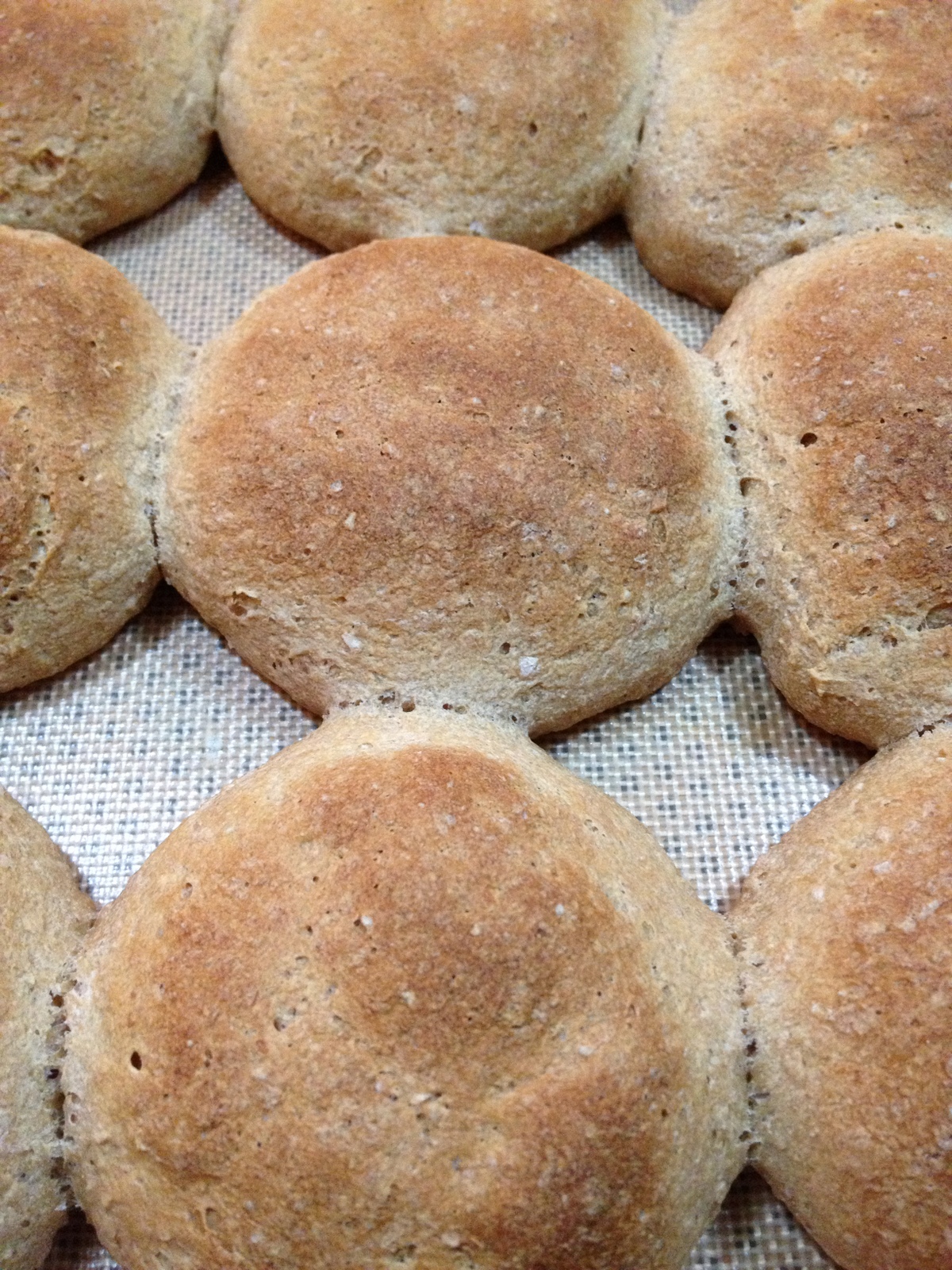 WHOLE FOODS PLANT BASED WFPB N(o)il WHOLE WHEAT AND OAT BURGER BUNS