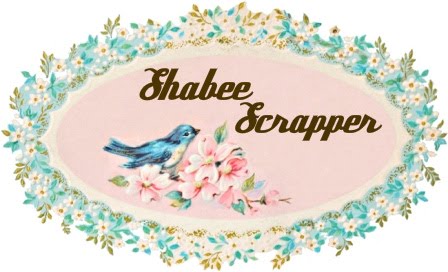 Shabee Scrapper