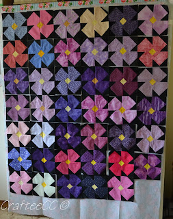 more violets received by CathyC in Australia