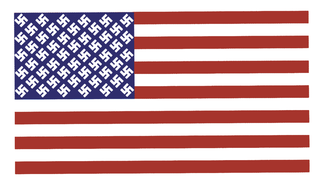 US-Flag--White-Swastika.gif