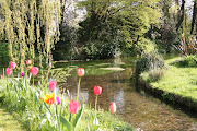 In primavera: fiori, acque e castelli: rassegna d'aprile a Strassoldo. (primavera)
