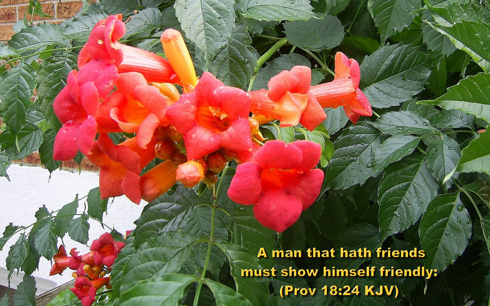 bible verse images bible verse images
