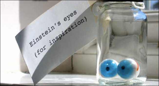 Bola Mata Einstein Bola Mata Einstein