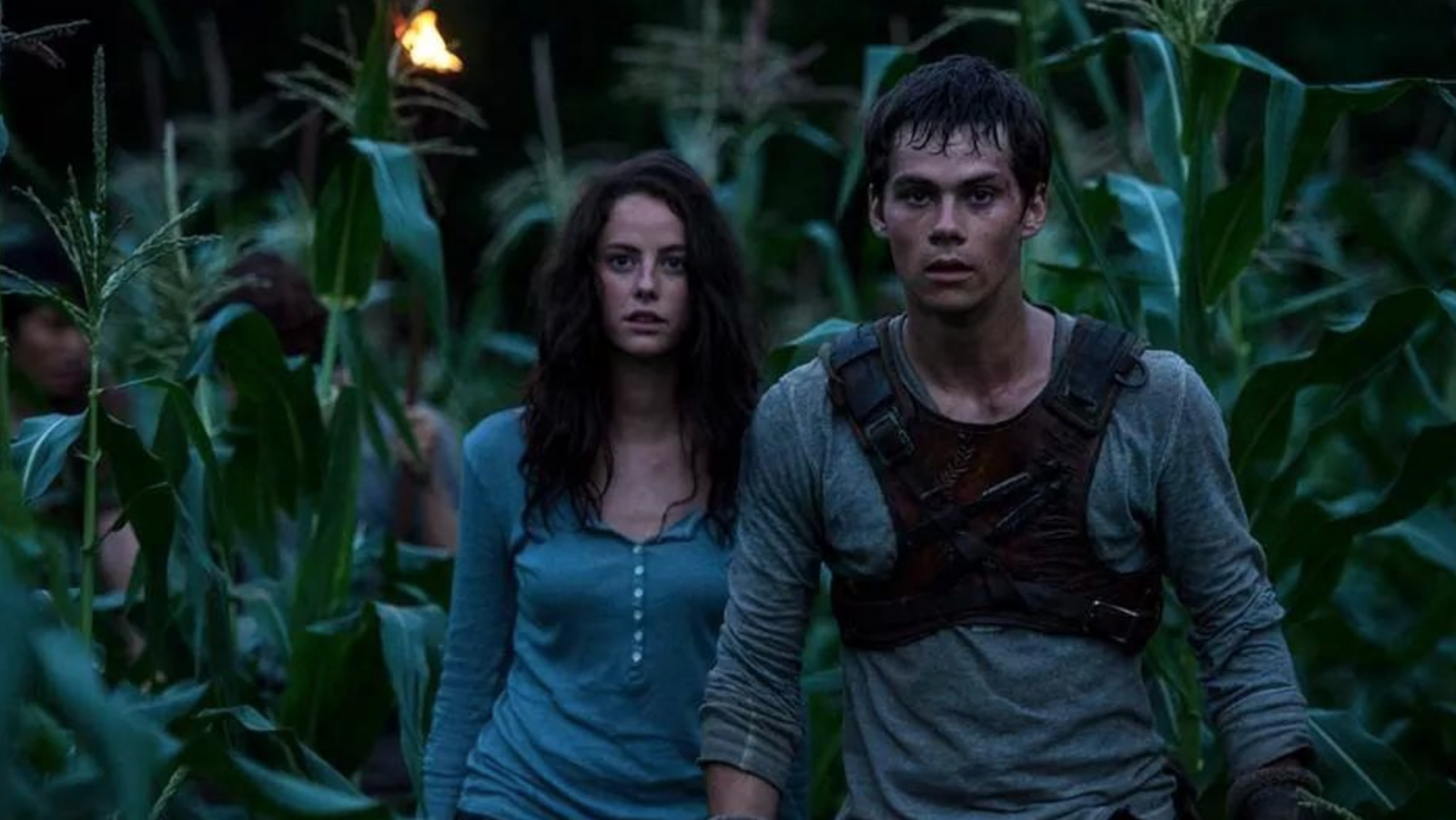 The Maze Runner' movie review: Baton Rouge-shot thriller does its best  'Hunger Games' impression, Movies/TV