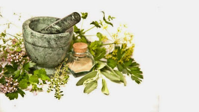 Berberis Vulgaris Uses Benefits Of Berberis Vulgaris Always