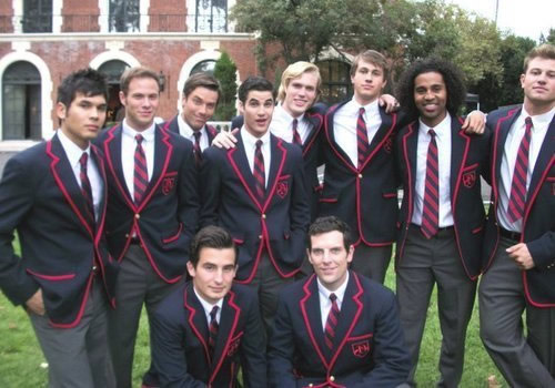 anis aten: the warblers..