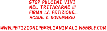 STOP PULCINI VIVI NEL TRITACARNE !!!