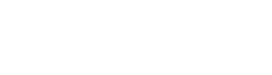 The SWM Team