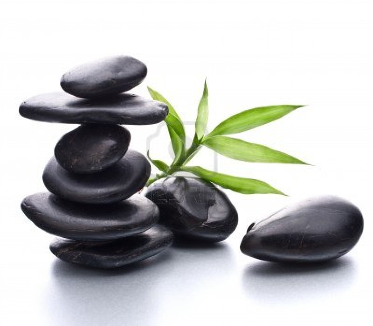 2017 Mega-Tins Yu-Gi-Oh! FANDOM powered by Wikia