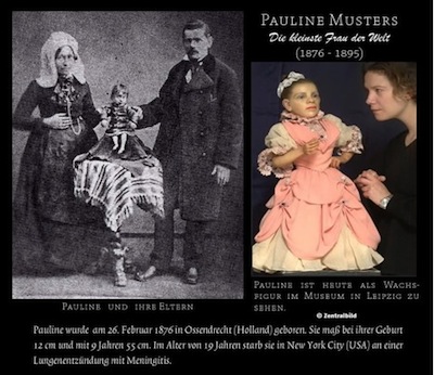 Pauline musters