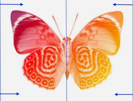 borboleta animada - planeamento borboleta animada - planeamento