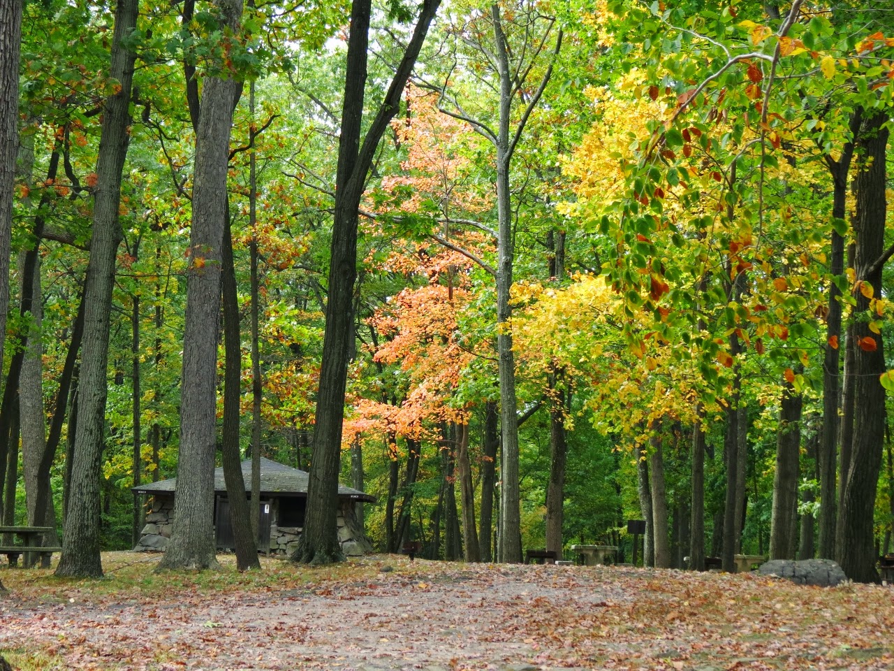 Gone Hikin' Tallman Mountain State Park, NY
