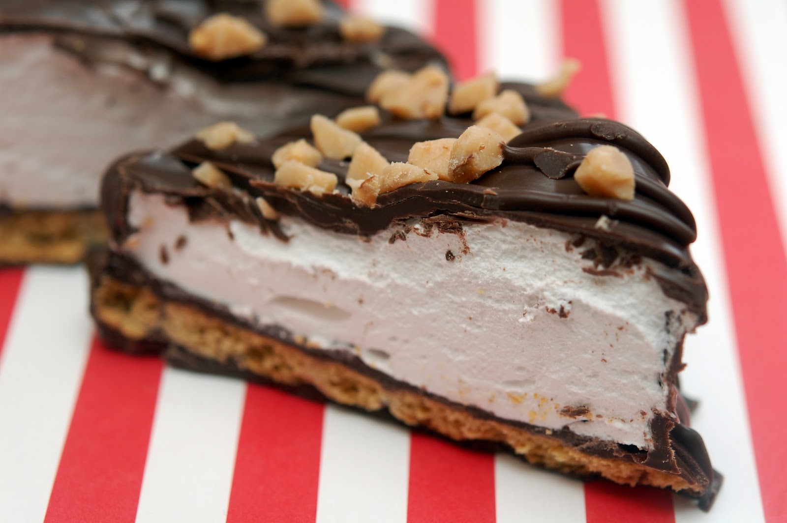 CHOCOLATE DIPPED GRAHAM CRACKERS STUFFED WITH HOMEMADE MARSHMALLOWS