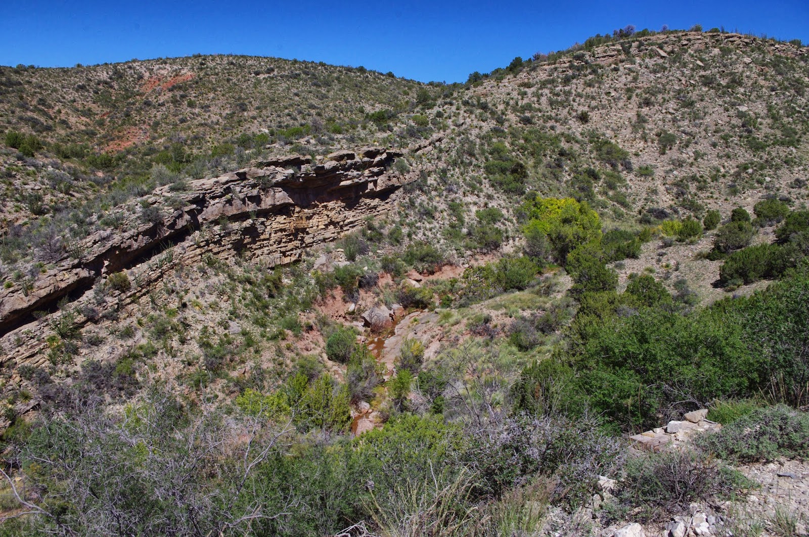Southern New Mexico Explorer Salado Canyon TrailLincoln National Forest