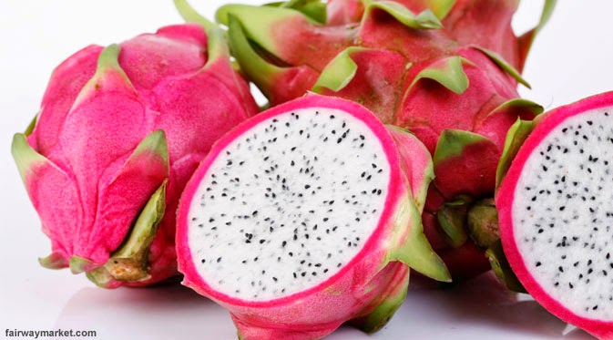 Download Contoh Report Text Mengenai Buah Naga Report Text Desktop Wallpaper Free Wallpaper Contoh Report Text Mengenai Buah Naga Report Text Desktop Wallpaper Free