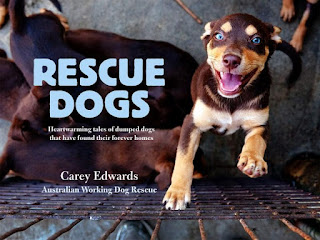 Rescue-Dogs-Book-Carey-Edwards