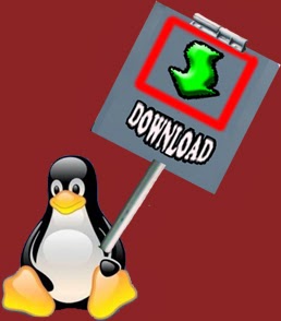 http://releases.ubuntu.com/saucy/ubuntu-13.10-desktop-i386.iso